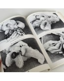 Книга "Як виготовляли та продавати колекційних Тедді ведмедиків", 69-019